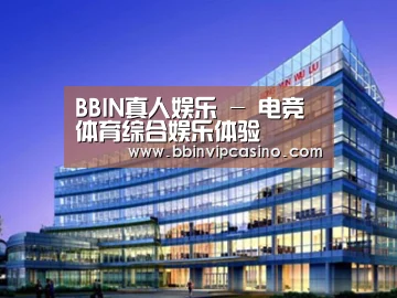 案例展示五