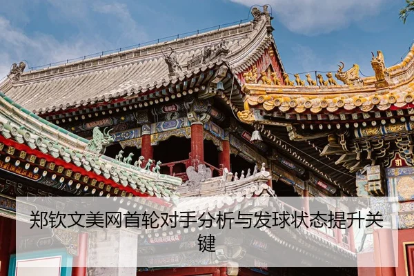 zheng-qin-wen-mei-wang-shou-lun-dui-shou-fen-xi-yu-fa-qiu-zhuang-tai-ti-sheng-guan-jian-3-313.jpg