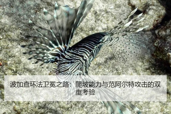 波加查环法卫冕之路：爬坡能力与范阿尔特攻击的双重考验