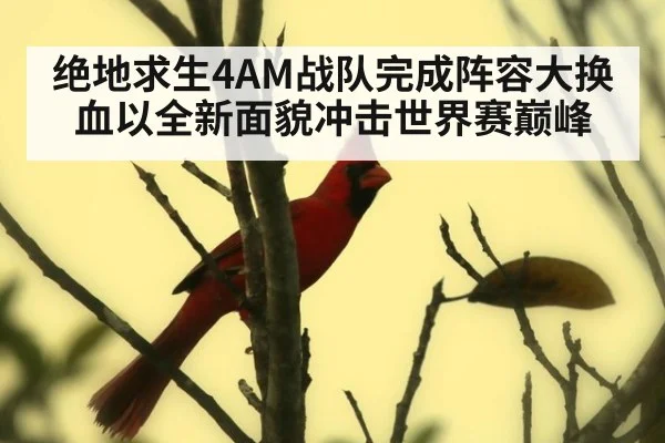 绝地求生4AM战队完成阵容大换血以全新面貌冲击世界赛巅峰