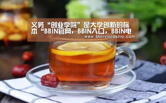 BBIN官网，BBIN入口，BBIN电子，BBIN百家乐