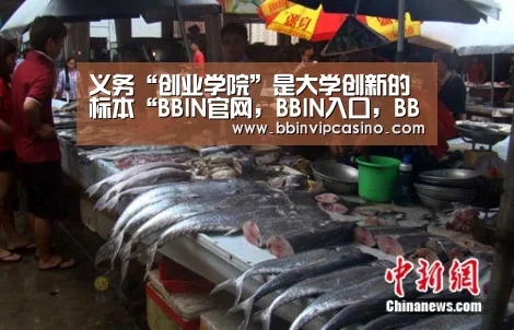 BBIN官网，BBIN入口，BBIN电子，BBIN百家乐
